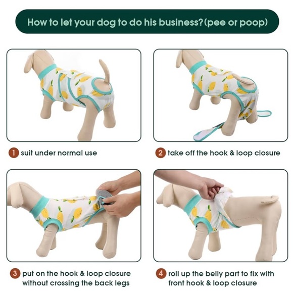 Dog Recovery suits- size Medium - Picture 3 of 9